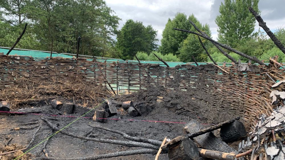 Photo shows the interior of the burned-out Iron Age house. The wattle walls are mostly still standing, protected by the daub, but the roof is gone, only charred ends of rafters remaining, with daub pressure-hosed off the walls by the fire brigade and charred benches inside.
