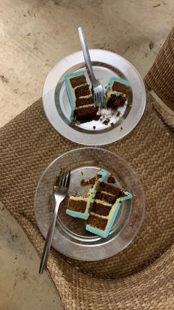 Photo shows two clear plastic plates each with a fork and two partially eaten slices of cake. The cake was gluten-free because our conservator Mary Evans is a coeliac. The cake was made of four layers of sticky toffee flavour sponge, with white chocolate fondant, and the light blue sugarpaste.