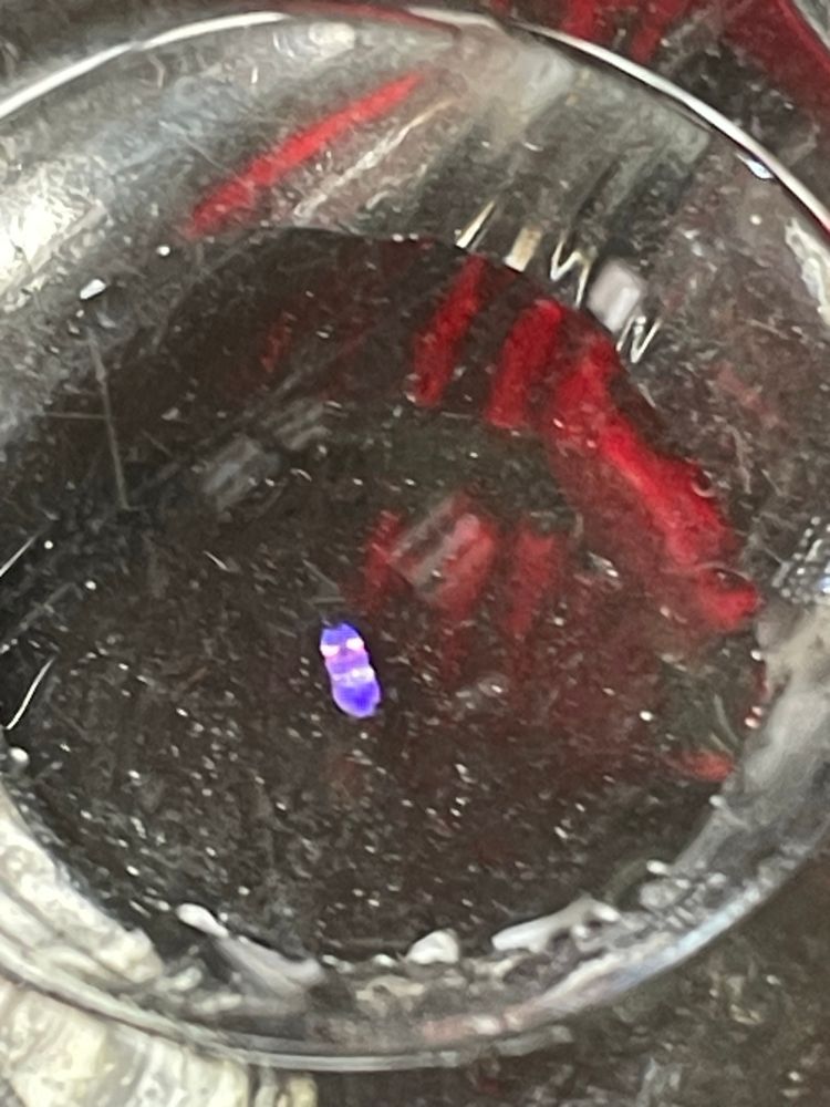 Sea sapphire