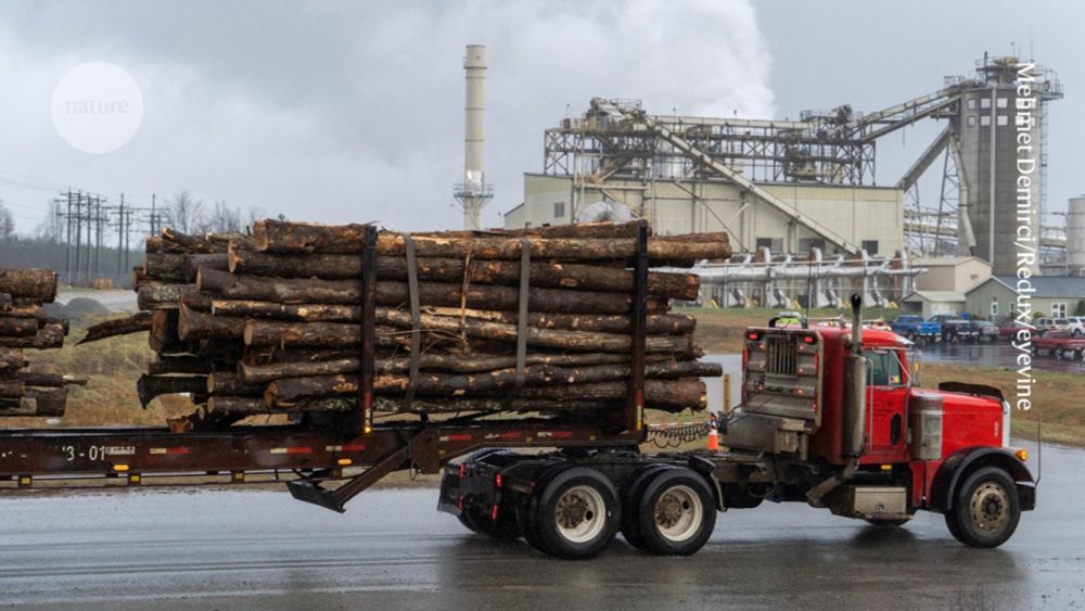 How ‘green’ electricity from wood harms the planet — and people