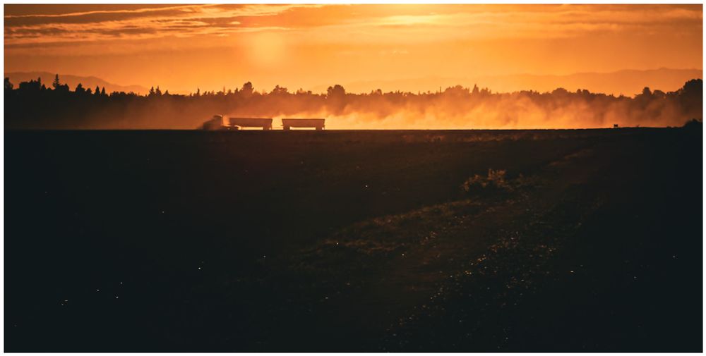 Photograph: a tomato truck drives through the fields, kicking up dust that glows in the late afternoon sun against a background of trees and distant hills. 