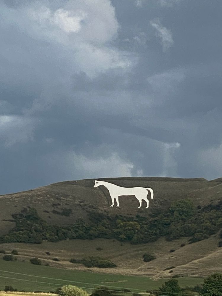 Die „White Horses“ leuchten weit ins Land hinein. Die Oberfläche besteht aus Kalkfelsen, über dem der (Gras-) Bewuchs entfernt wurde. Ihre Ursprünge sind umstritten. In jedem Fall sind sie mit ihrer Leuchtkraft eine ideale „Landmark“. In Wiltshire gibt es 8 davon.