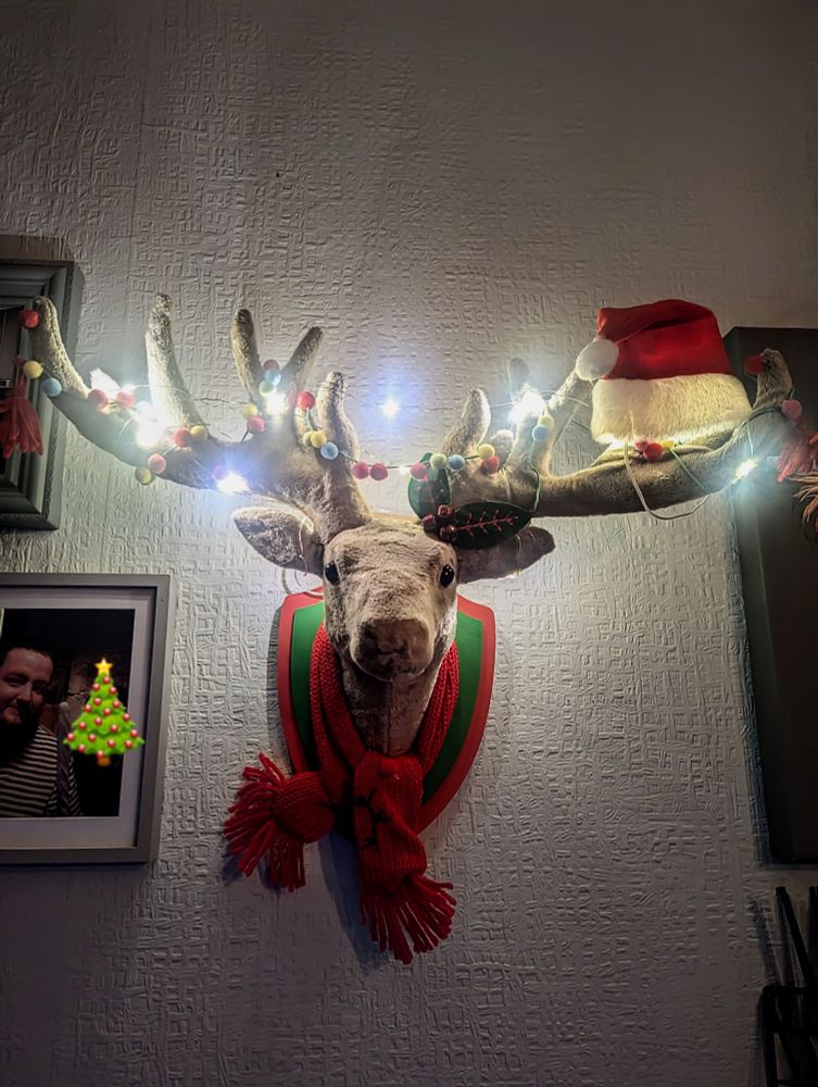 A fluffy and very fake stags head mounted on the wall, with a red scarf round its neck and lights and Fluffy baubles on its antlers. 