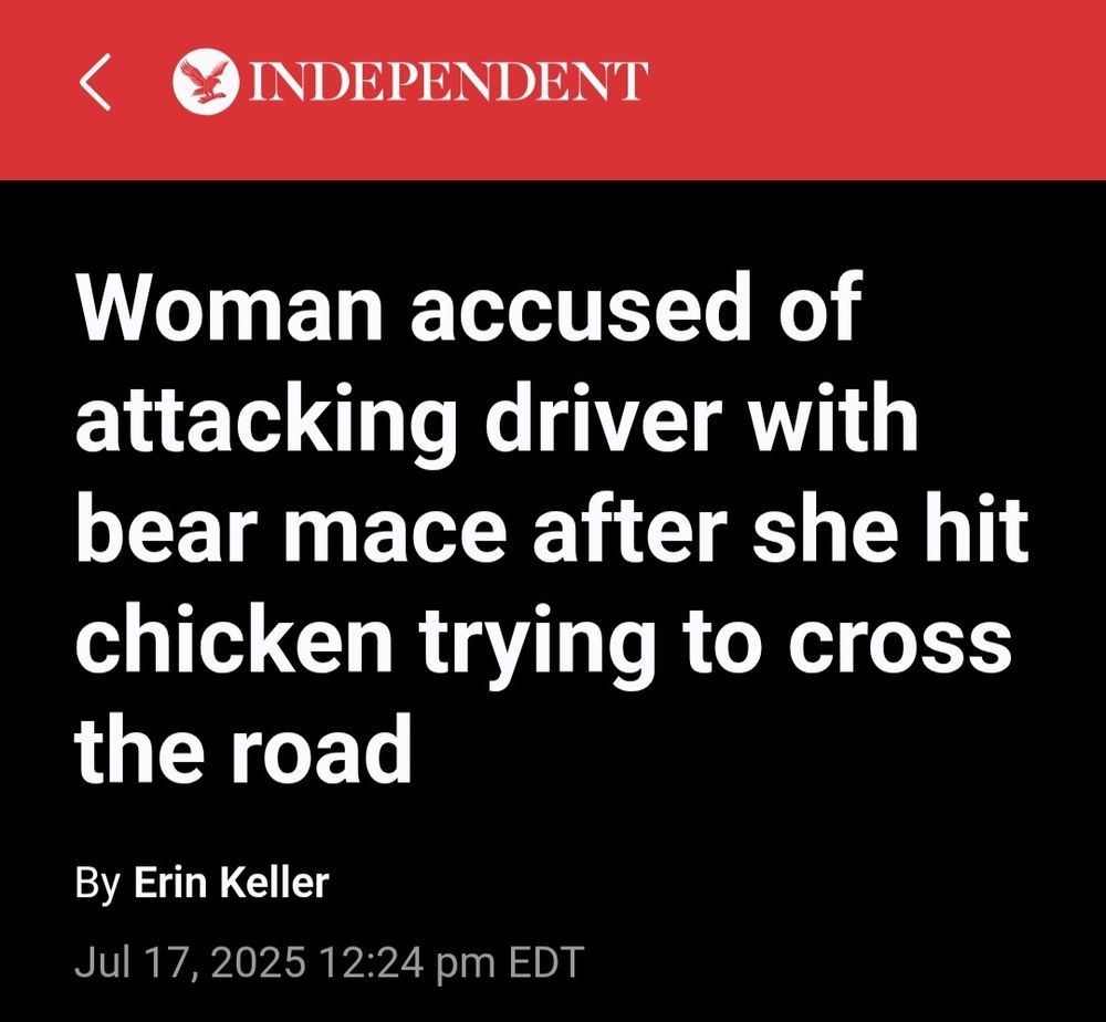 Independent headline "woman accused of attacking driver with bear mace after she hit chicken trying to cross the road"