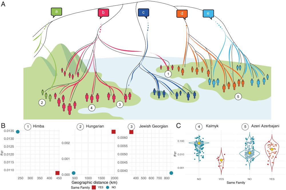 A global analysis of matches and mismatches between human genetic and linguistic histories | Proceedings of the National Academy of Sciences