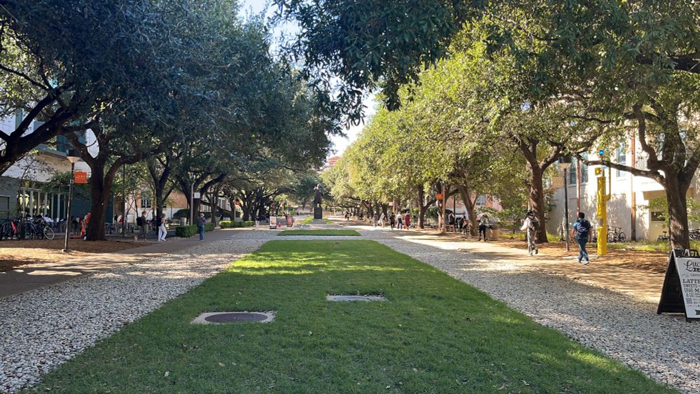 A grassy lawn at UT Austin
