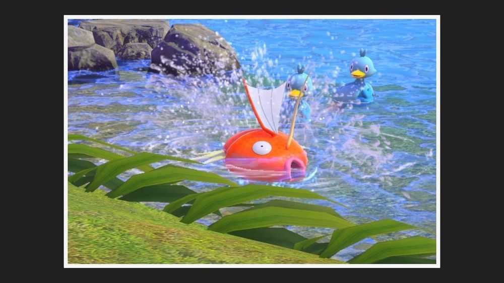 New Pokémon Snap : Magikarp 
