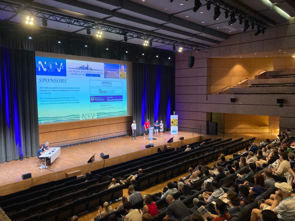 Opening of #NSV2025