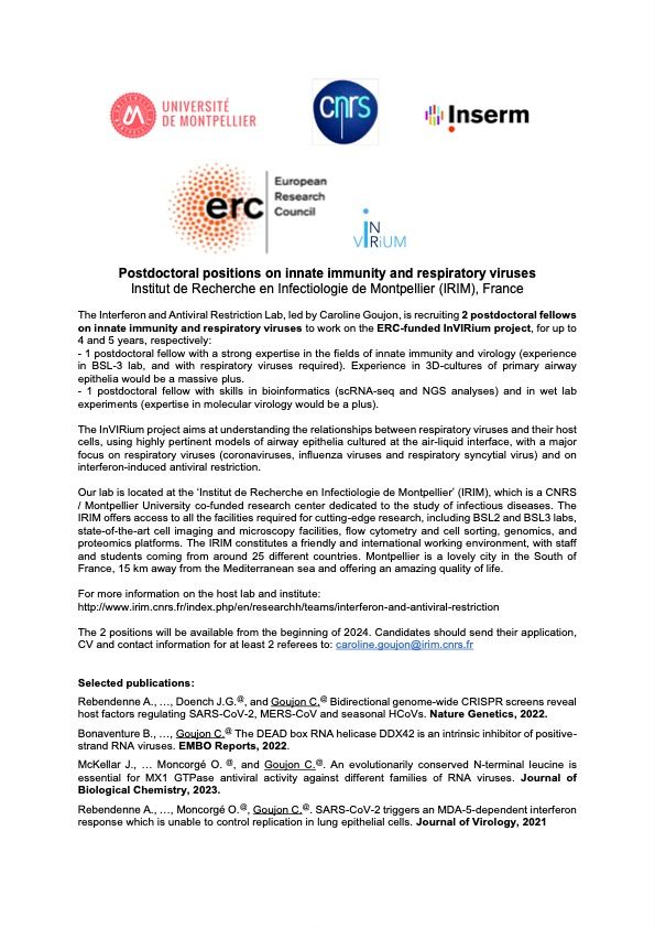 This is the job description, which can also be found on Euraxess: https://euraxess.ec.europa.eu/jobs/120426