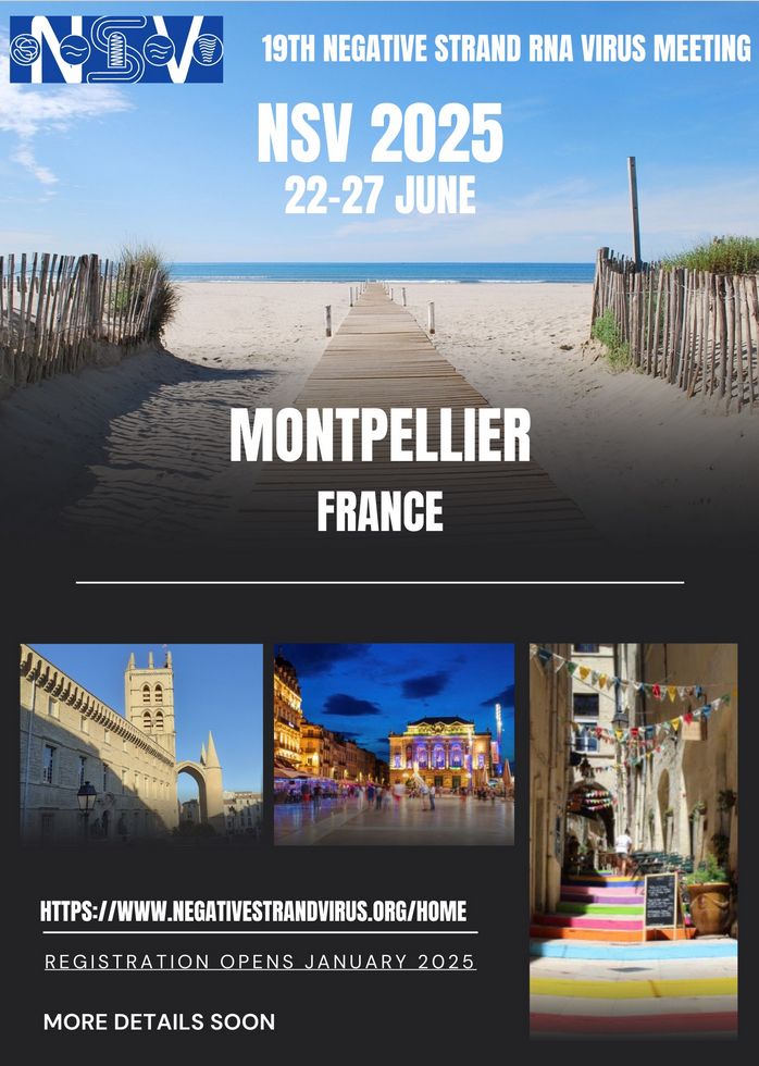 ad for NSV 2025 meeting with views of Montpellier and the Mediterranean sea 