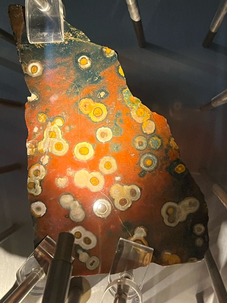 Agate rock shows dark orange matrix with many small light-colored circles with yellow centers. (c) Lena Struwe.
