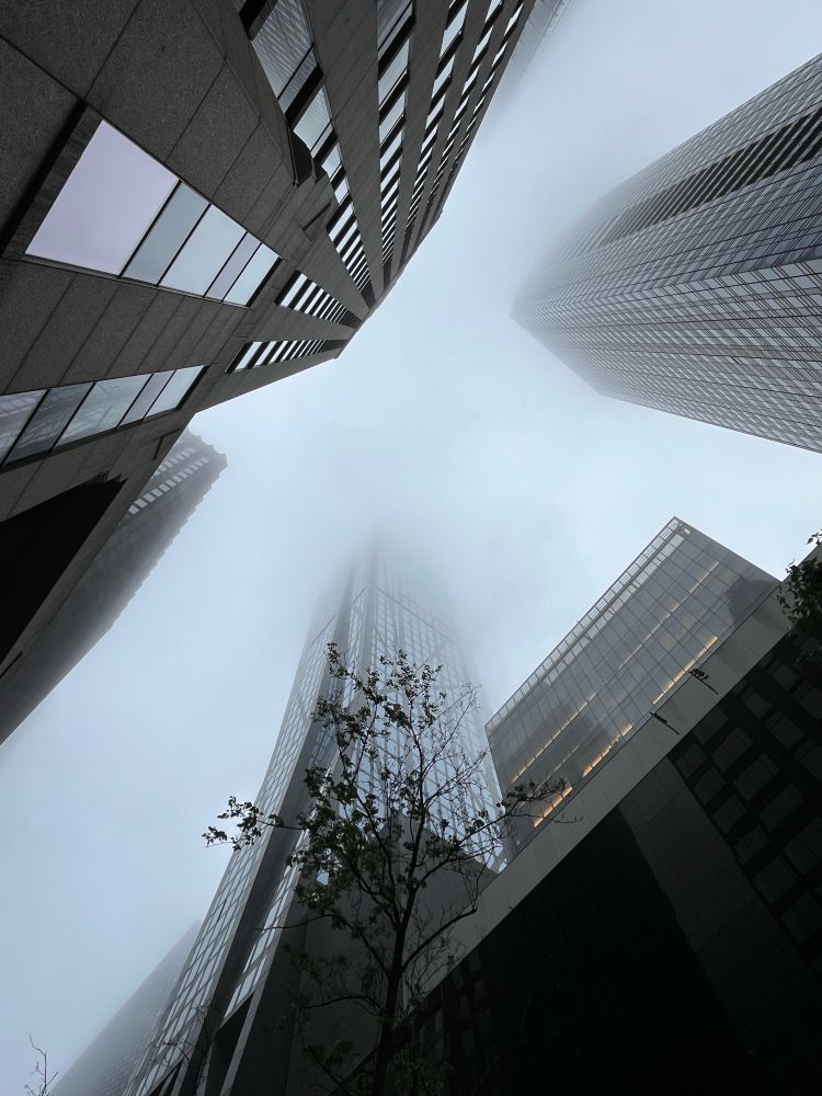 Photo from urban city street level straight up into the sky showing several tall buildings disappearing into low grey clouds upwards.  Colors are muted, nearly only grayscale.  Photo by Lena Struwe, 2025
