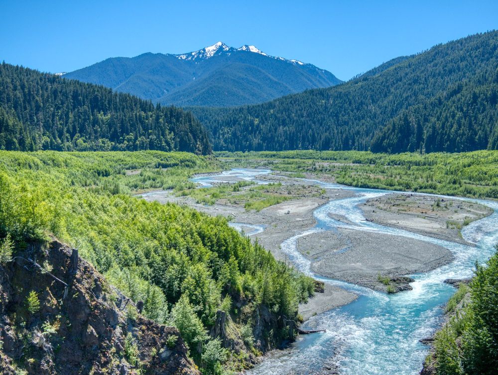 Open reservoir with blue, multi-channeled river, bright green riparian vegetation within a context of dark green conifers and a snow-capped mountain in the background