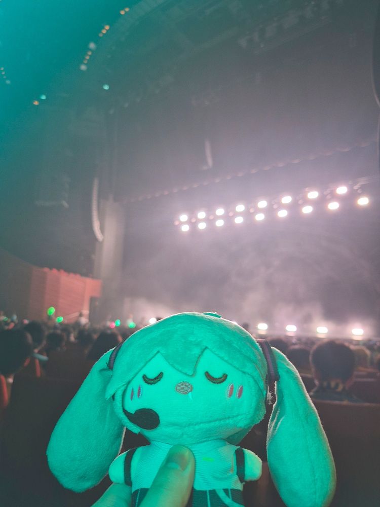 Photo of my sleeping miku plush at the expo stage (wake up girl!!! it's your concert)
