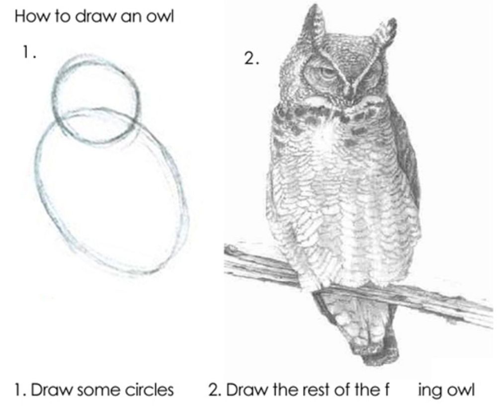 A cartoon showing how to draw an owl in two steps, which clearly doesn't provide enough information.