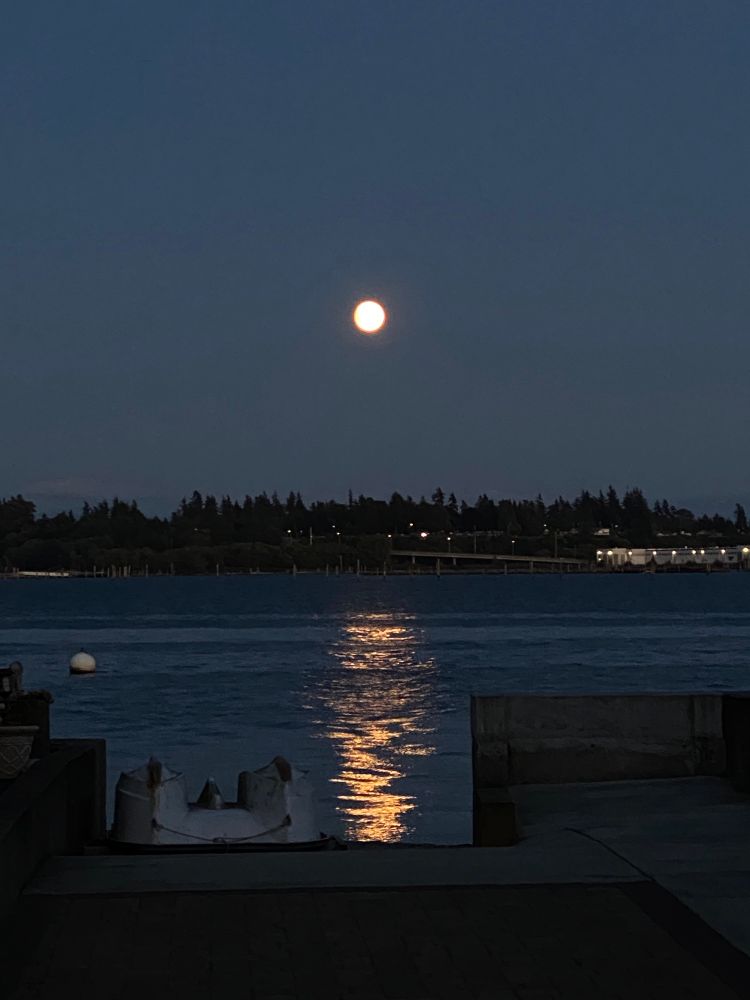 The light from the waxing full moon is reflected in water. 