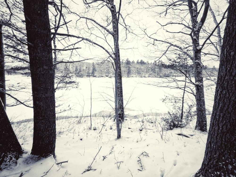 Perched at the top of a low rise hill looking down on the white vastness of the snow topped river and across to an uninhabited island that is heavily forested 