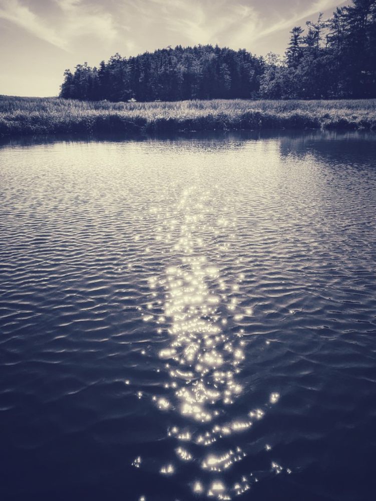 a glisten trail of light on an endless delta tributary beckons the explorer into the pristine hinterlands of coastal Maine