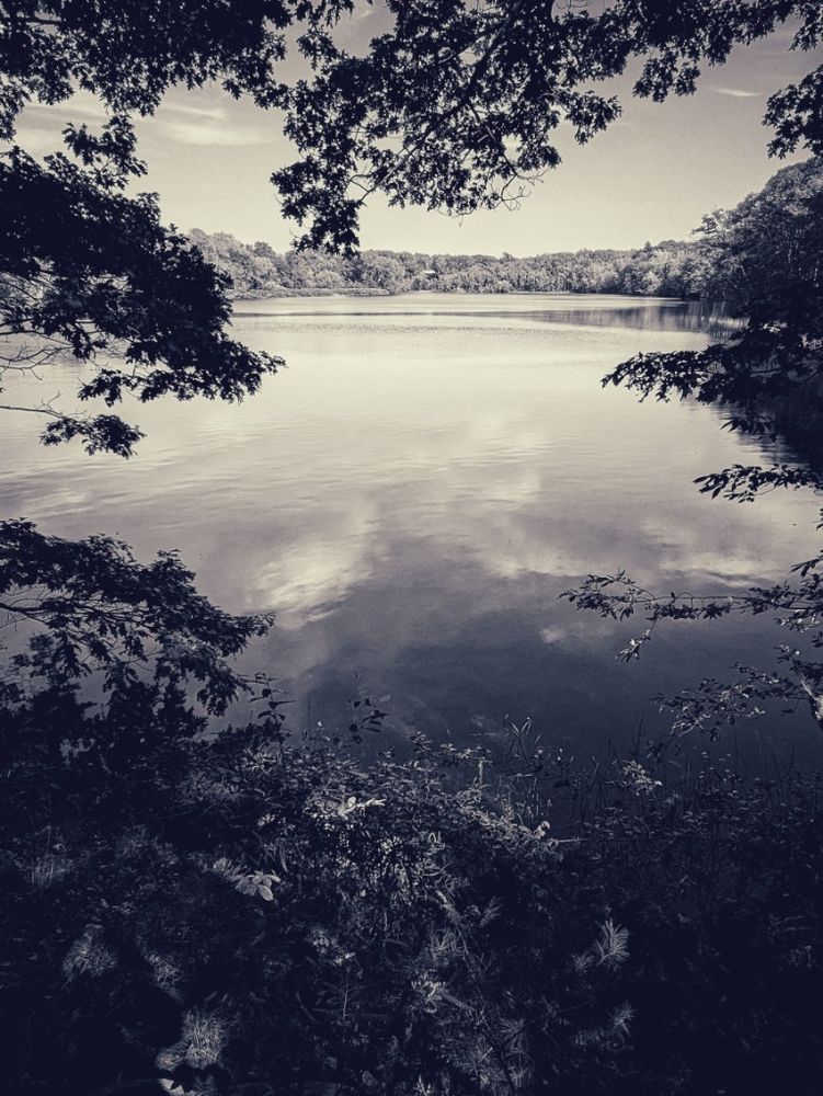 An expansive summer view over a lazy bend of the Androscoggin River framed by dense tree branches at the waters edge
