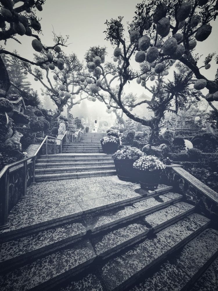 A concrete staircase rises up and to the right underneath exotic branches of fruits and seeds... This beautifully complex and decorative garden that wraps its way up to an isolated and peaceful temple shrine at the top of the mountain is one of the surprising delights within the expansive and majestic Ba Na Hills park complex