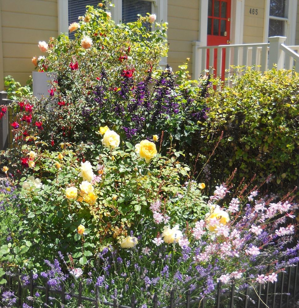 Multiple flowers and flowering bushes of different colors outside a yellow house with white trim and a red door.