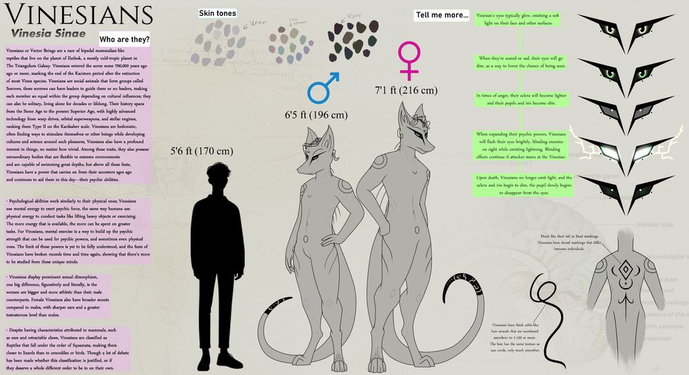 [IMG ID: A species reference sheet features an alien race of reptilians known as Vinesians, pale-skinned, tall, and digitigrade; they also bear mammalian features like sharp ears and retractable claws. aux-cord-like cables form their hair in various quantities; they bear markings on their body, including tails, groin, legs, shoulders, back, and head. Both males and females wear makeup on their faces./End]