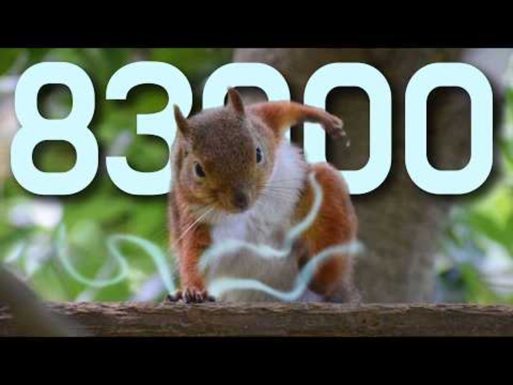 𝙋𝙡𝙖𝙮𝙡𝙞𝙨𝙩 전투력 83000 상승하는 메탈음악