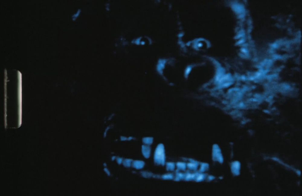 Primer plano de la cara de King Kong