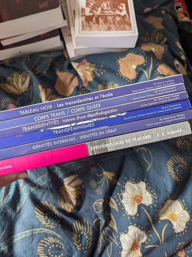 Cahiers de la transidentités, par Karine Espinera, Maud-Yeuse Thomas, Arnaud Alessandrin et Noomi B. Grüsig.

Tableau noir : les transidentités et l'école.
Corps trans / corps queer.
Transidentités : histoire d'une dépathologisation.
Transfeminismes.
Identités intersexes : identités en débat.
