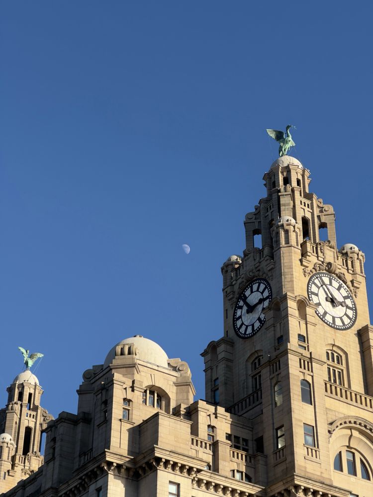 A cropped in view of the top of the Liver Building in Liverpool. Above the building is a clear blue sky, with a waxing gibbous Moon in view at the centre of the image. 