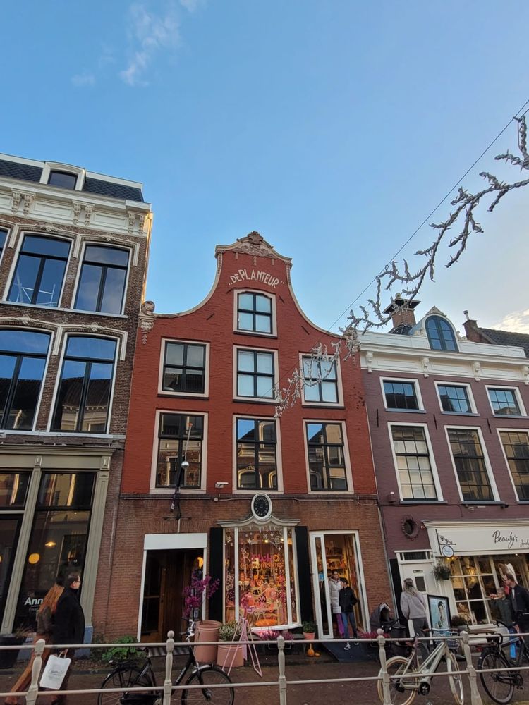 Maison mitoyenne de style Rococo 1785,en briques brun foncé pour le rez de chaussée, brun clair pour les 2 étages et la maçonnerie de la lucarne, cette dernière ornée d'un croisillon droit. Au-dessus de celle-ci est écrit en lettres blanches  ''De Planteur''. On n' aperçoit pas le toit.Au rez de chaussée, deux hautes fenêtres et la porte d'entrée vitrée du magasin.3 hautes fenêtres à chacun des étages, ornées n croisillon droit. La maison est assez exigüe, les baies occupant presque  toute la façade. Leeuwarden. 