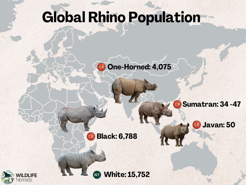map showing distribution of the five rhino species