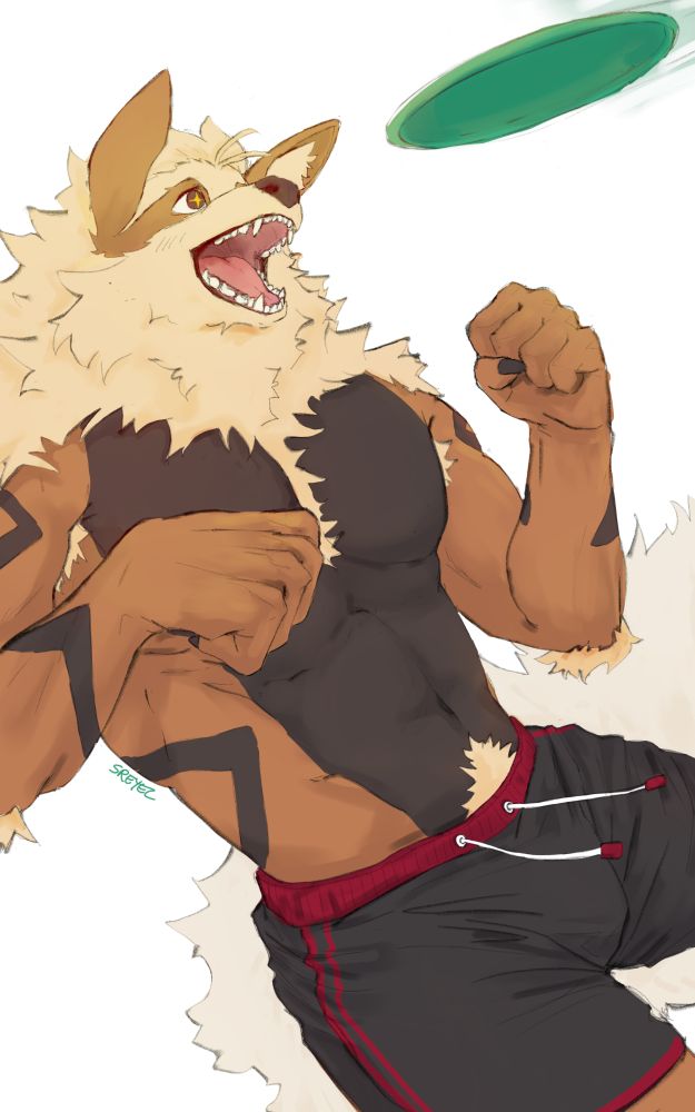an arcanine about to catch a frisbee