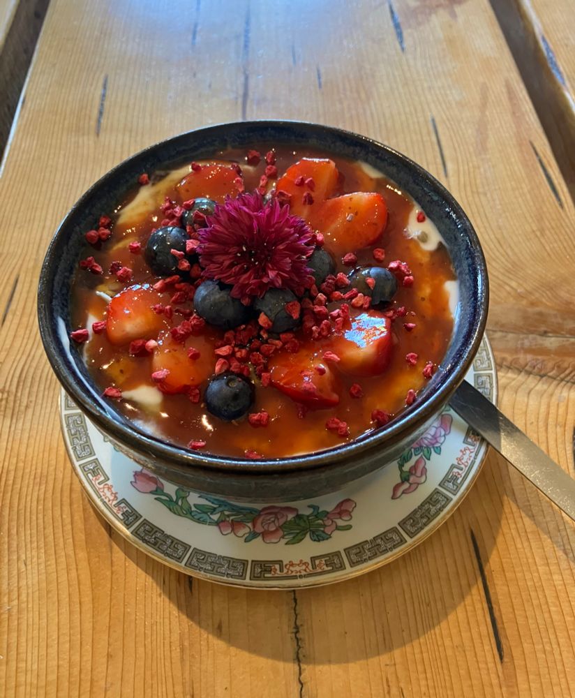 A photo of a beautiful bowl of homemade granola with yoghurt, fruit and edible flowers.