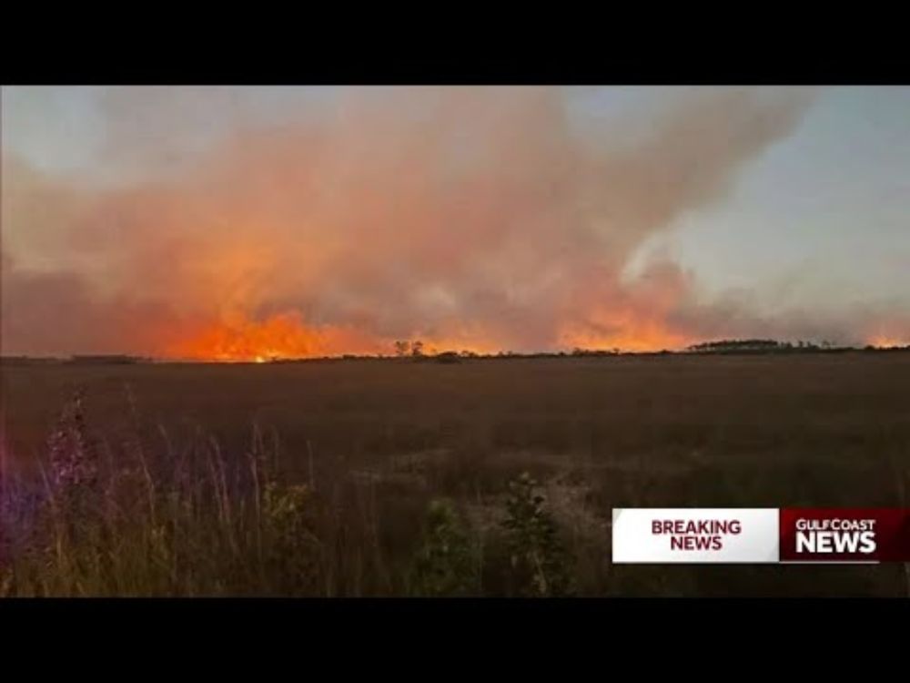 Nearly 2,000-acre brush fire burns in Florida's Everglades National Park