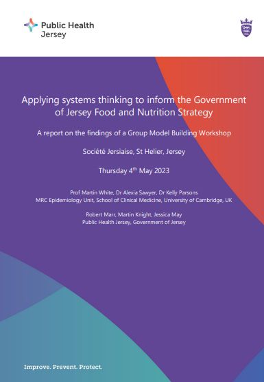 Front cover of a report about systems thinking