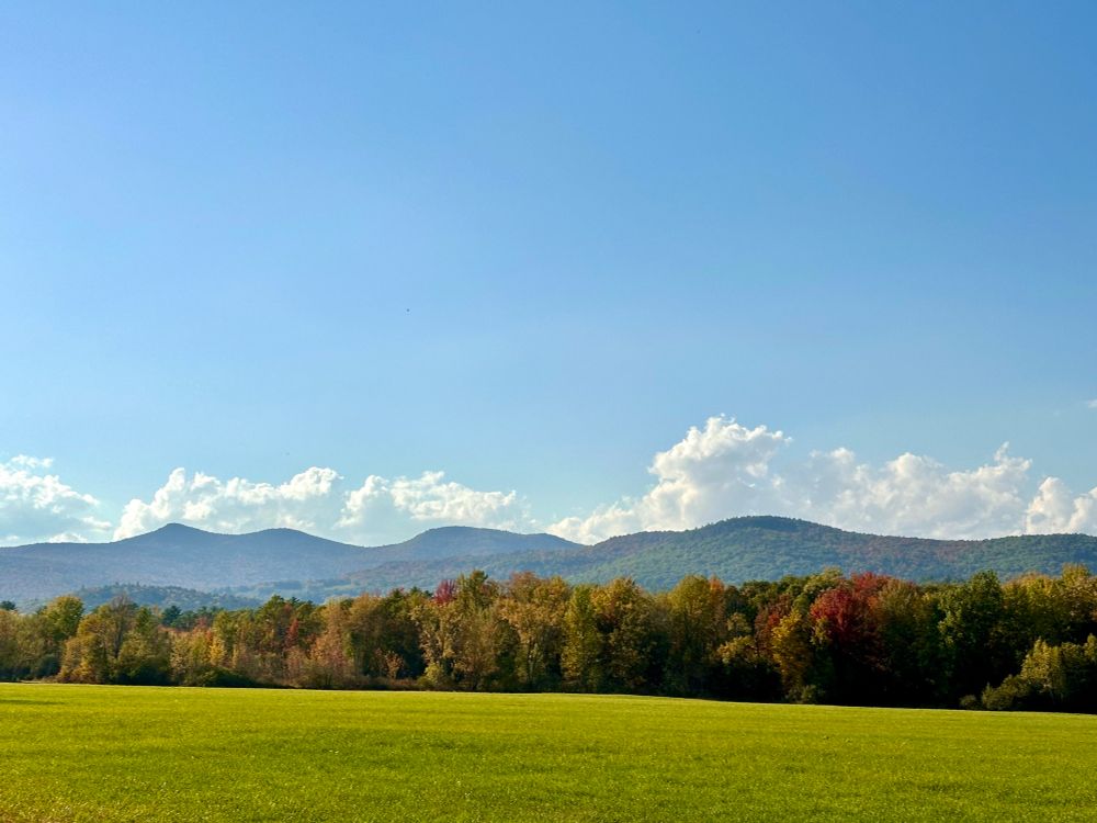 Near to far: a field of grass, a row of color-turning trees, mountains, distant clouds, a big blue sky