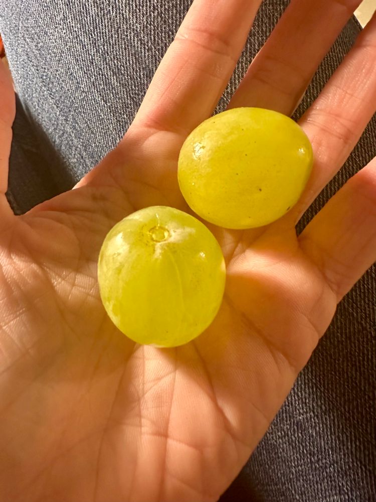 Picture of two, enormous green grapes in the palm of my hand
