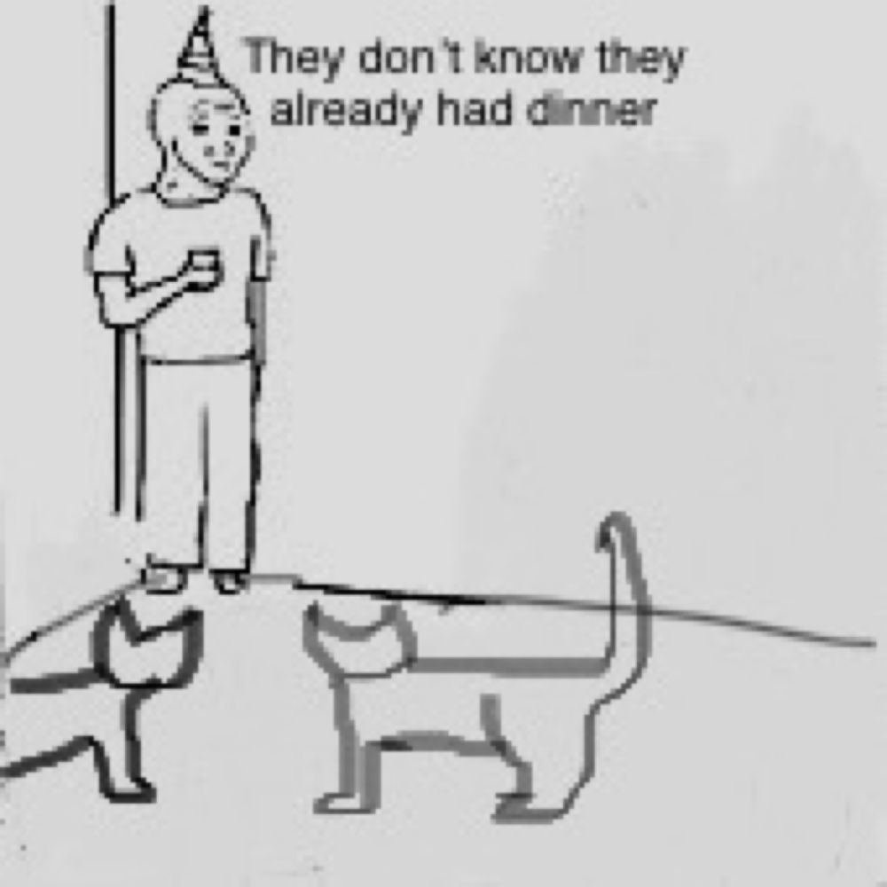 They don’t know meme. Guy in party hat standing alone while two cat look at him. Caption reads, “they don’t know they already had dinner”