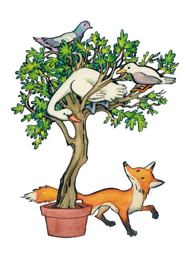 Illustration of a swan, a pigeon and another bird in the branches of a potted tree, with a smiling fox on the ground watching.
