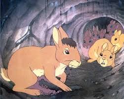 Bigwig from Watership Down, preparing for his fight with General Woundwort