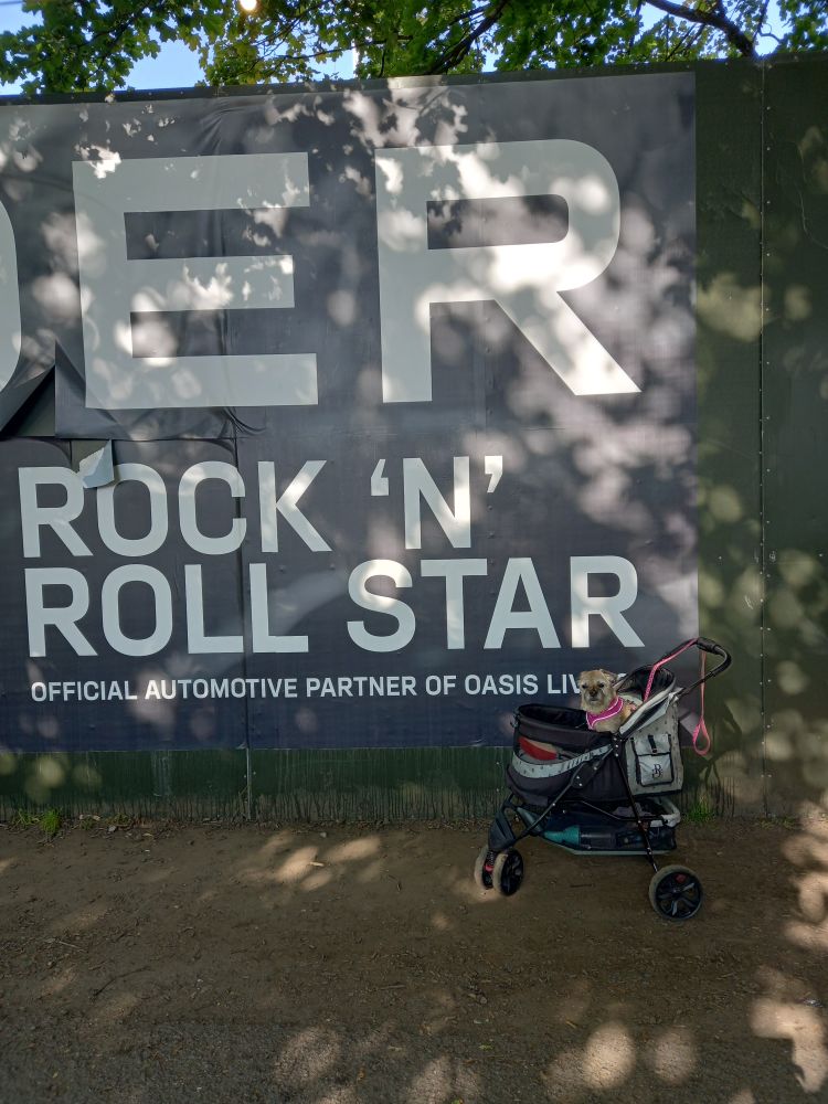 Forget the Gallagher brothers Heidi is the True Rock n Roll Star