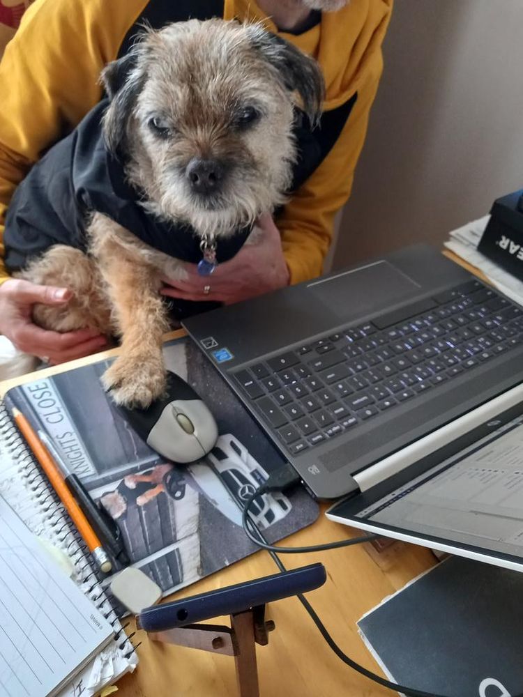 Heidi at work checking the share price of squeaky balls
