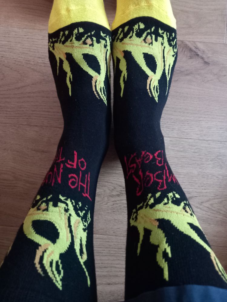 Iron Maiden socks with flames