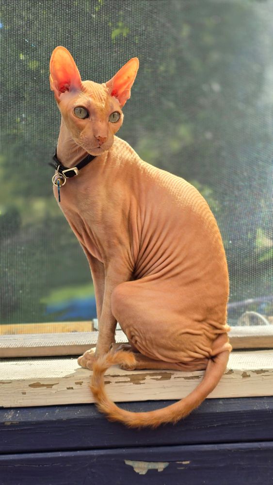 Edgar dans toute sa splendeur! 
