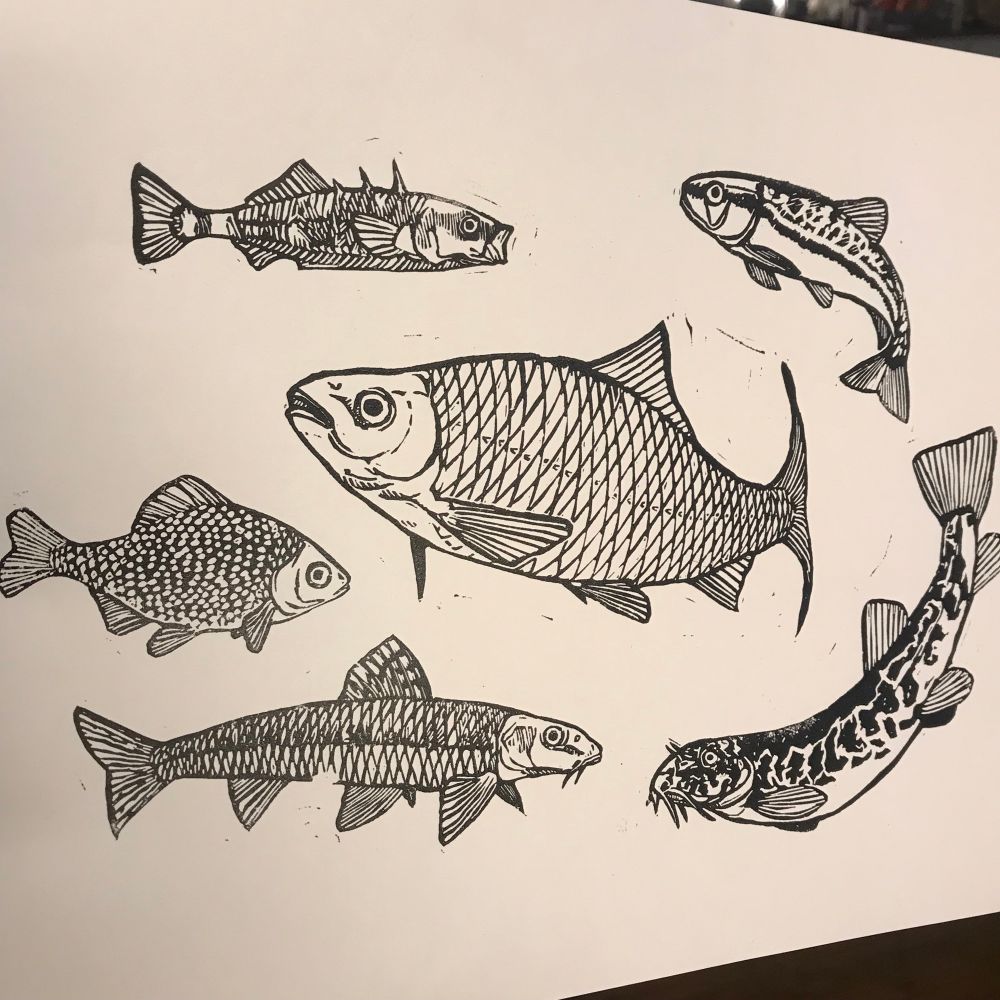 Estampe de poissons d’eau douce sur une feuille A3