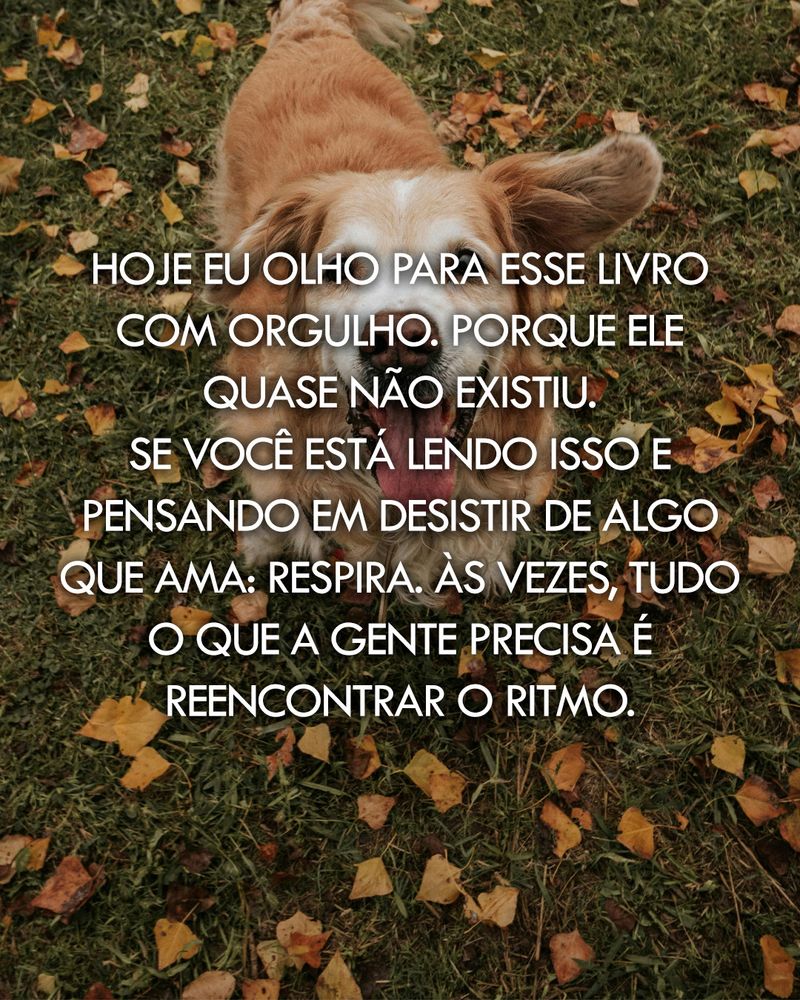 Imagem de um cachorro peludo cor marrom claro numa grama verde com folhas secas. Texto: Hoje eu olho para esse livro com orgulho, porque ele quase não existiu. Se você está lendo isso e pensando em desistir de algo que ama: respira. Às vezes, tudo o que a gente precisa é reencontrar o ritmo.