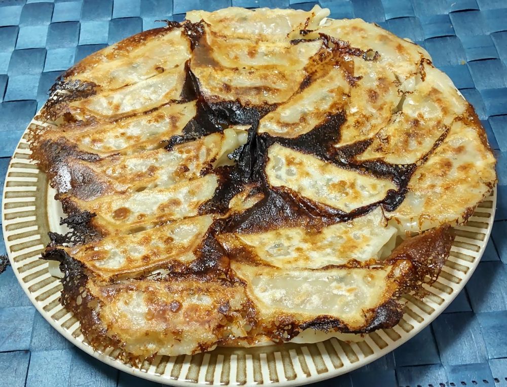 浜松餃子（冷凍）を浜松駅で購入し、家で焼いてみました。浜松のお店で食した時と同様に大変美味しかったです（特に皮）。