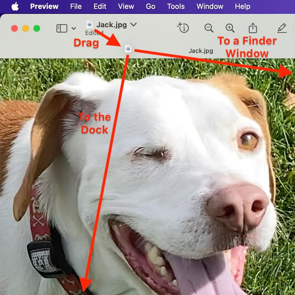 A Mac Preview window showing an image and the title bar proxy icon being dragged.