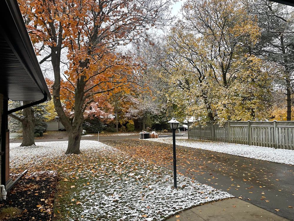 A driveway with autumn trees with snow on the ground